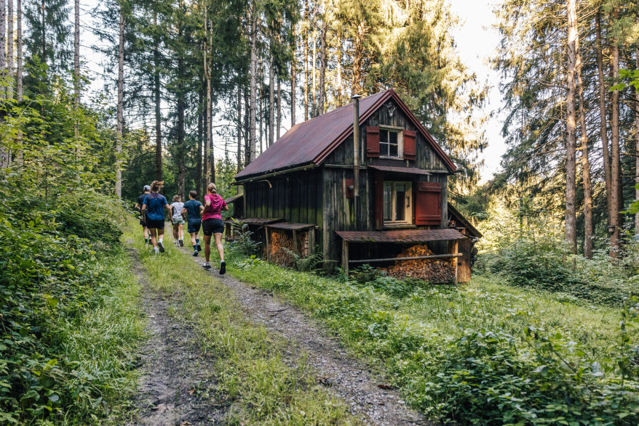 Trailrunning Gruppe läuft durch Wald